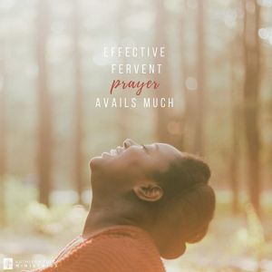 9b91fe28fdeec5b266143ca0d6539697