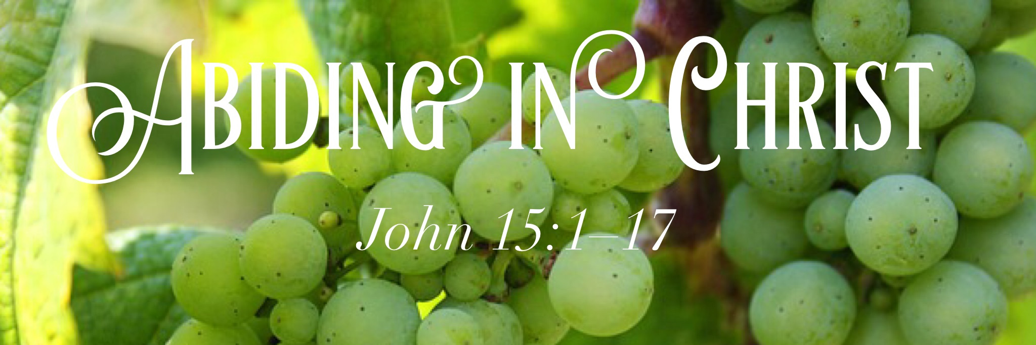 abide-in-christ (1)