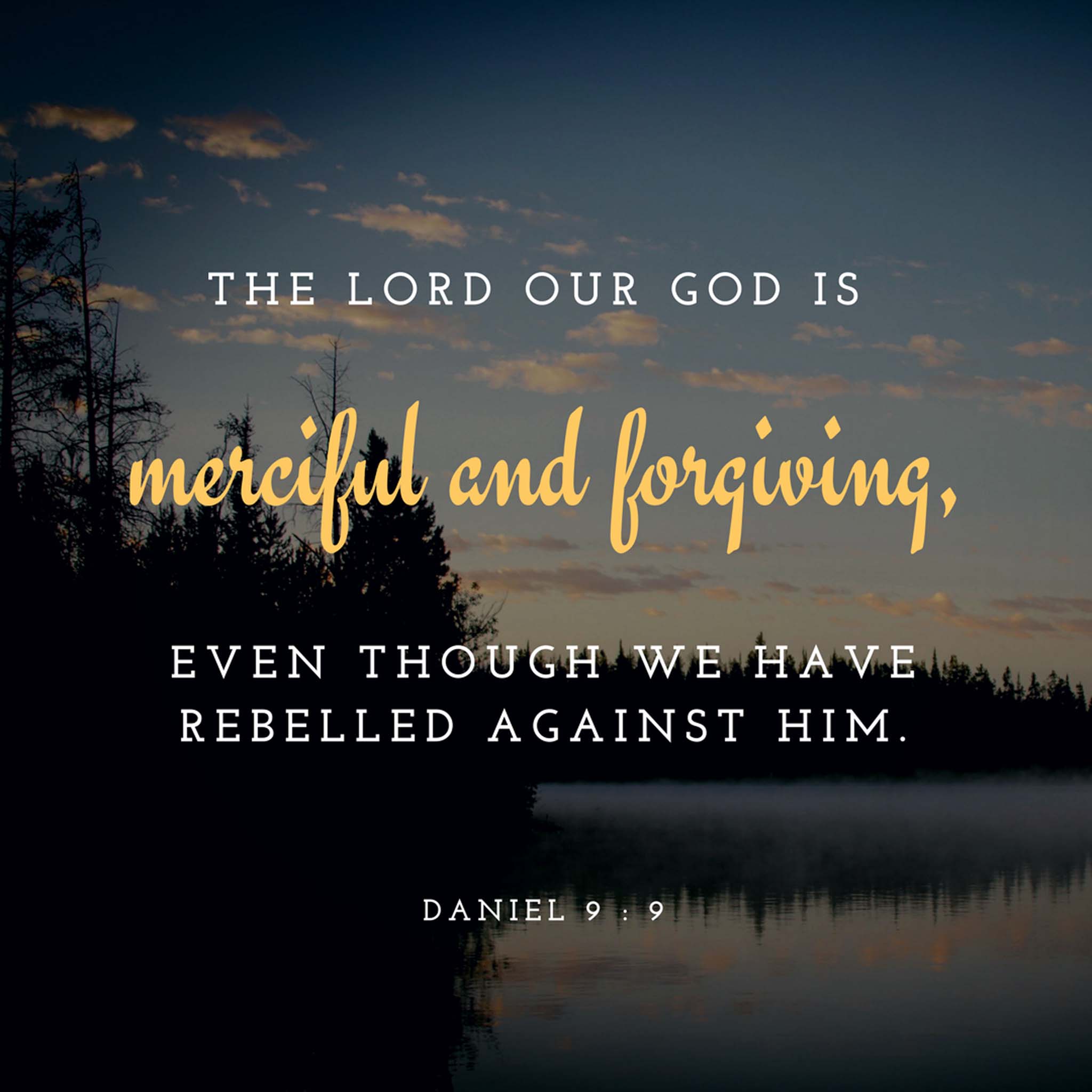 285291_052a50b67fda975ac380c9a01ecec22c