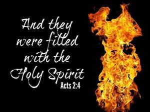 81278a4ac6d0ce6a5a6854ed52280fe5